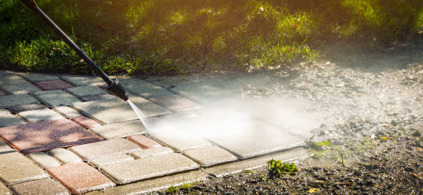 Best Animal Enclosure Cleaning  in Fairport, NY